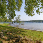 Our summer ranking reveals Warsaw’s best nearby beaches